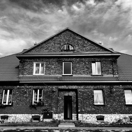 White House - Silesian Loft Apartment Dąbrowa Górnicza エクステリア 写真