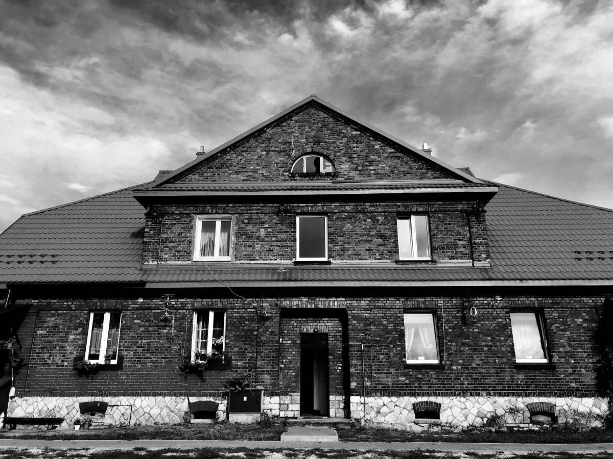 White House - Silesian Loft Apartment Dąbrowa Górnicza エクステリア 写真